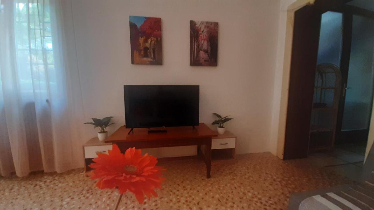 Old Captain's - In A Pine Wood By The Sea And Tennis Courts Apartament *