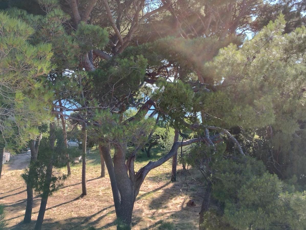 Old Captain's - In A Pine Wood By The Sea And Tennis Courts Apartament Split